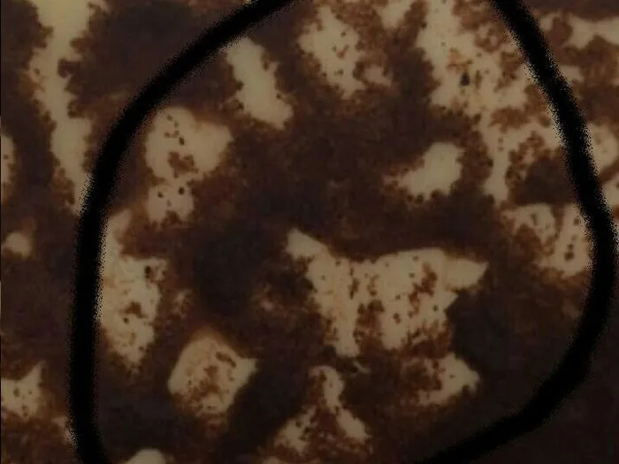 Запись на прием к гадалке в Туапсе